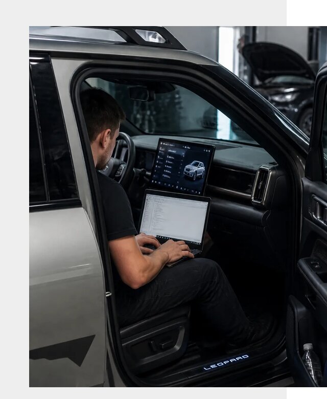 Русификация BYD Leopard 3 в Мегионе по цене от 20746 р. | ФастМобиль-Мго